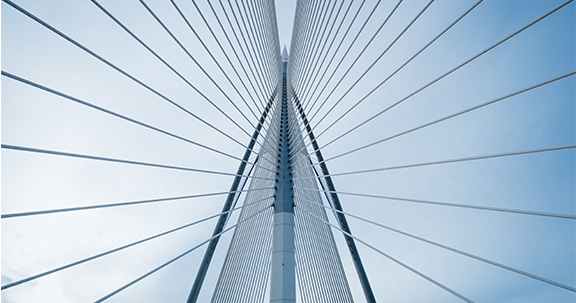 Immagine decorativa per Protezione semplice, solida e impeccabile